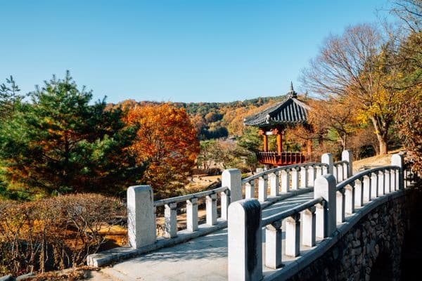 small bridge going through andong village, leaves changing color on the tree, many trees in the distance, traditional korean temple beside the bridge
