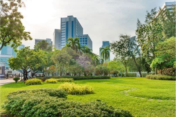 view of the green spaces in lumphini park, tall buildings in the background, things to do in bangkok, bangkok itinerary