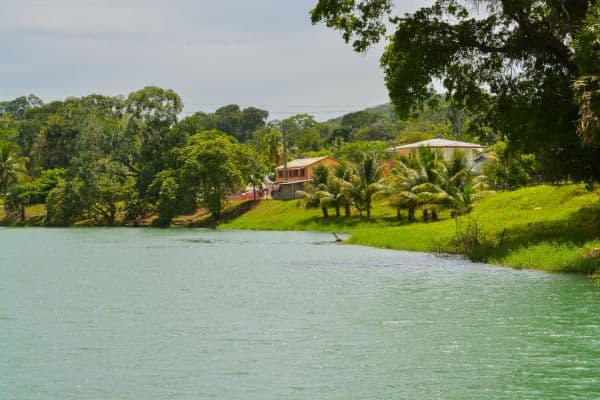 macal river with grassy bank and houses on the side, san ignacio hotels, san ignacio belize hotels