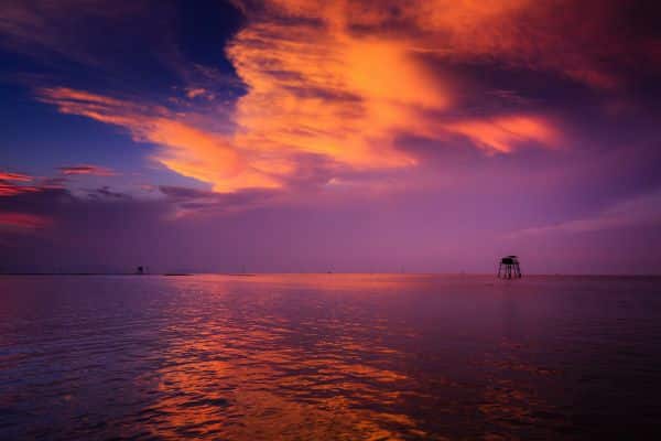 beautiful orange and purple sunset, water in the can gio biosphere reserve, ho chi minh day tours