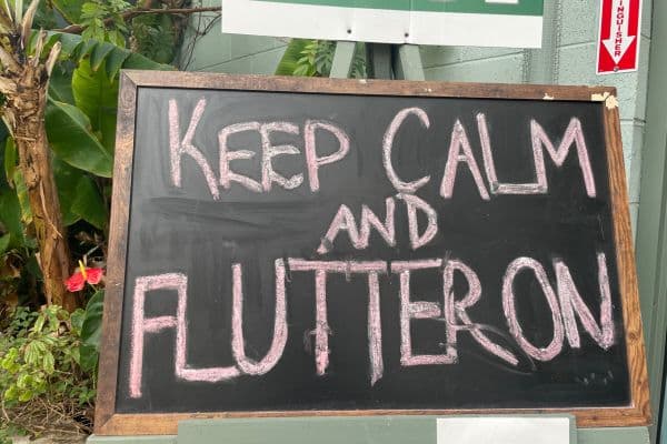 chalkboard with the writing "keep calm and flutter on" written in pink