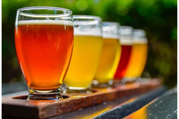 craft beer set up for tasting five different flavors, craft beer flight