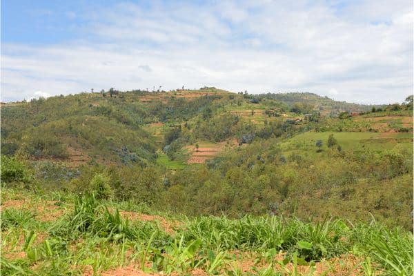 small town of huye, countryside in rwanda, rolling green hills with plots of farmland 