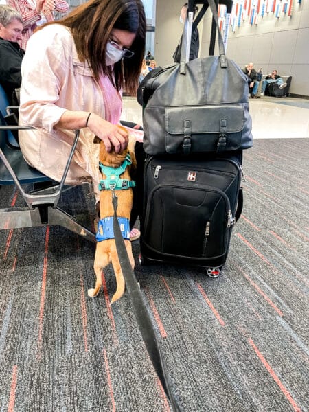 Jagger being friendly to a woman in the airport