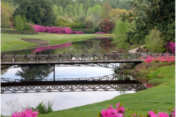 bellingrath gardens, bridge going over the lake, pink flower bushes and trees among the greenery