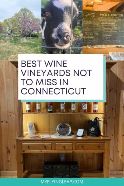ct wineries pin