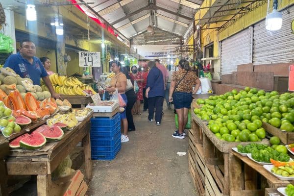 inside of one of the markets, stands with fresh juice and vegetables 